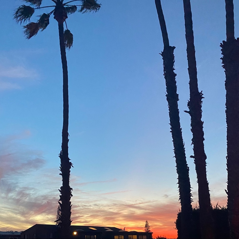 Meet your Posher, Marian